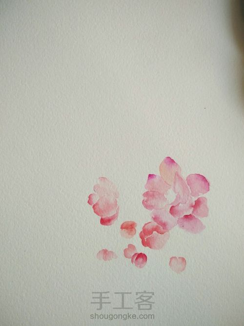 手绘海棠花