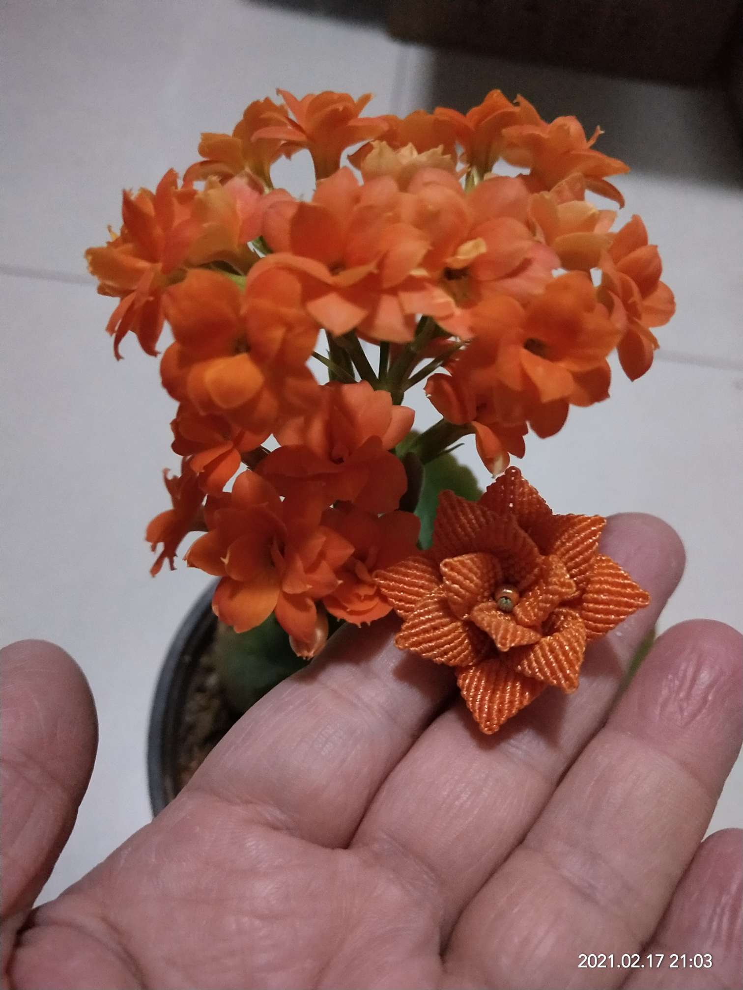 花瓣编法借鉴了喵喵老师的双层包边小花,
在此感谢老师!
最后的组合是摸索着编的,没有拍照 花瓣编法借鉴了喵喵老师的双层包边小花,
在此感谢老师!
最后的组合是摸索着编的,没有拍照