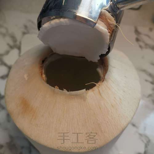 椰壳花盆-手工客官网